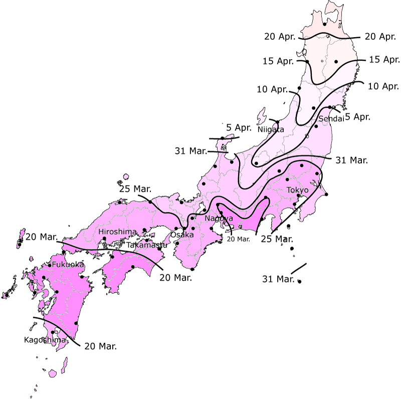 Forecast of cherry blossom blooming dates in 2009