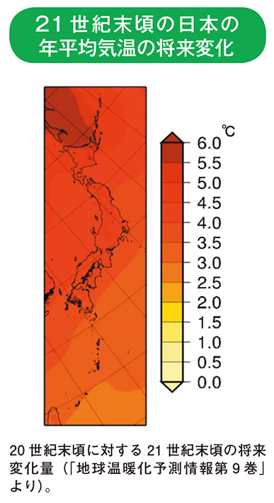 21 世紀末頃の日本の年平均気温の将来変化