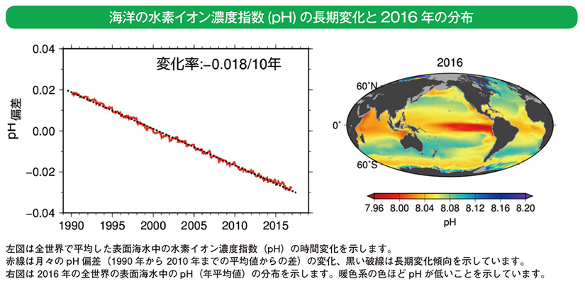 海洋の水素イオン濃度指数(pH)の長期変化と2016年の分布