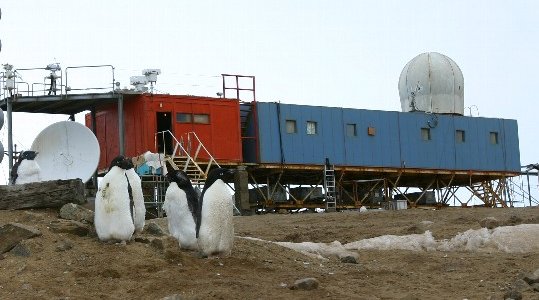 気象棟とアデリーペンギン