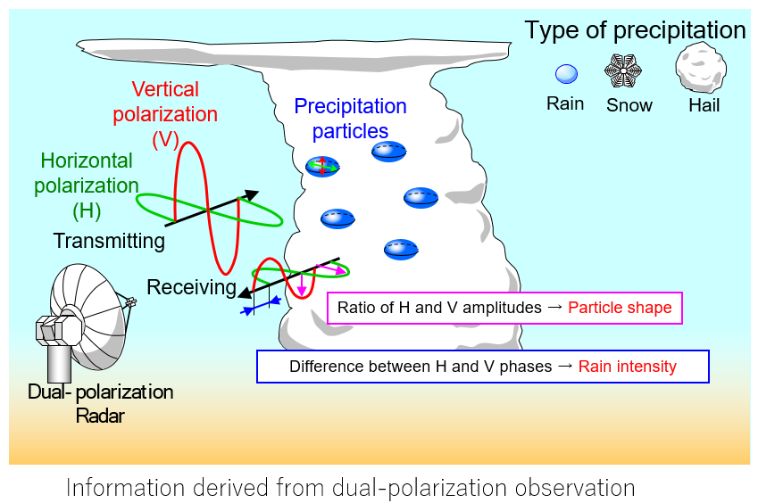 Information derived from dual-polarization observation