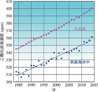 図。冬季の東経137度線に沿った表面海水中と大気中の二酸化炭素濃度（北緯7度～33度での平均）の経年変化