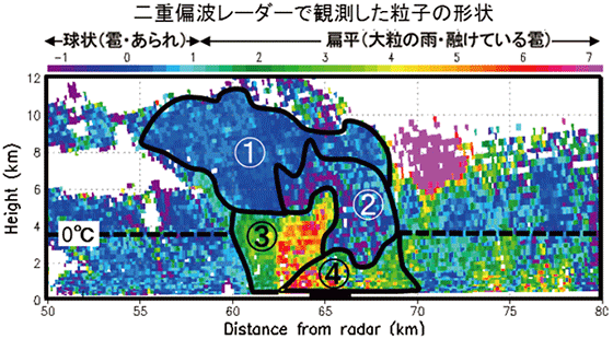 図。二重偏波レーダーによる降水粒子の区別