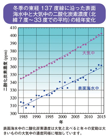 冬季の東経137度線に沿った表面海水中と大気中の二酸化炭素濃度（北緯7度～33度での平均）の経年変化