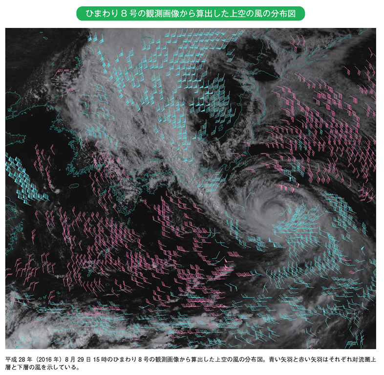 ひまわり8号の観測画像から算出した上空の風の分布図
