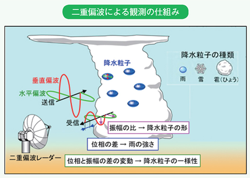 二重偏波による観測の仕組み