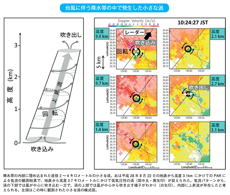 台風に伴う降水帯の中で発生した小さな渦