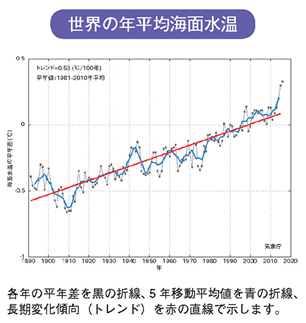 世界の年平均海面水温