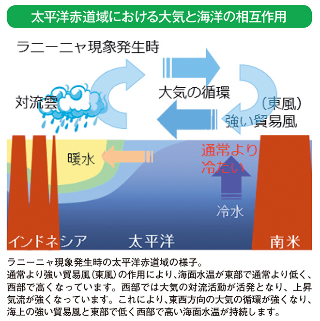 太平洋赤道域における大気と海洋の相互作用