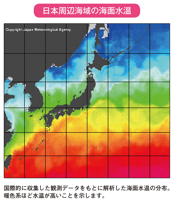 日本周辺海域の海面水温