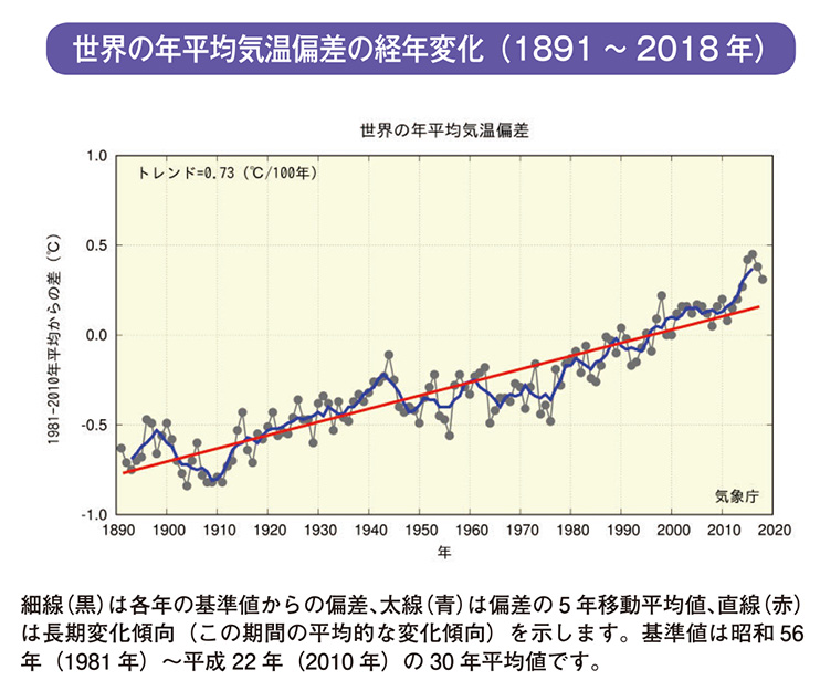世界の年平均気温偏差の経年変化（1891～2018年）