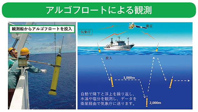 アルゴフロートによる観測