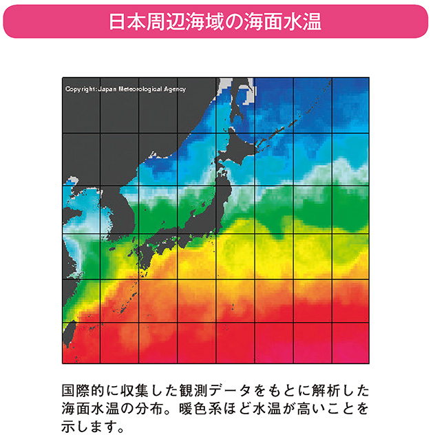日本周辺海域の海面水温
