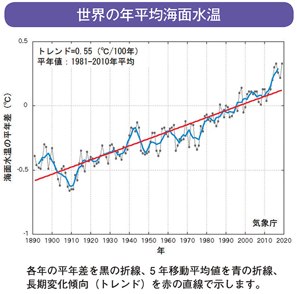 世界の年平均海面水温
