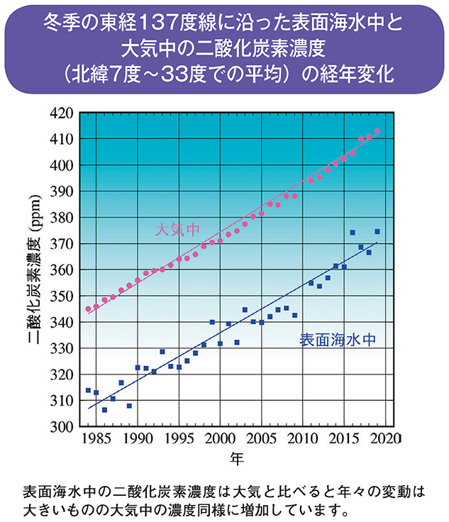 冬季の東経137度線に沿った表面海水中と大気中の二酸化炭素濃度（北緯7度～33度での平均）の経年変化