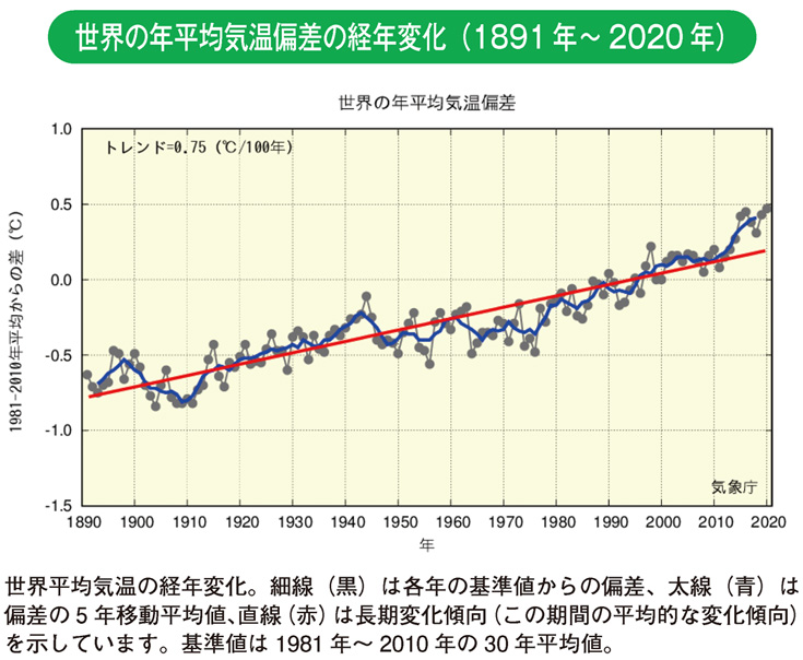 世界の年平均気温偏差の経年変化（1891年～2020年）
