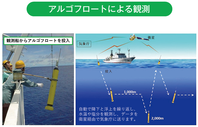 アルゴフロートによる観測