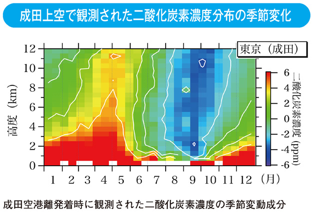 成田上空で観測された二酸化炭素濃度分布の季節変化