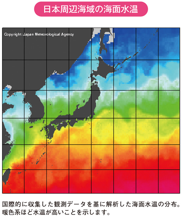 日本周辺海域の海面水温