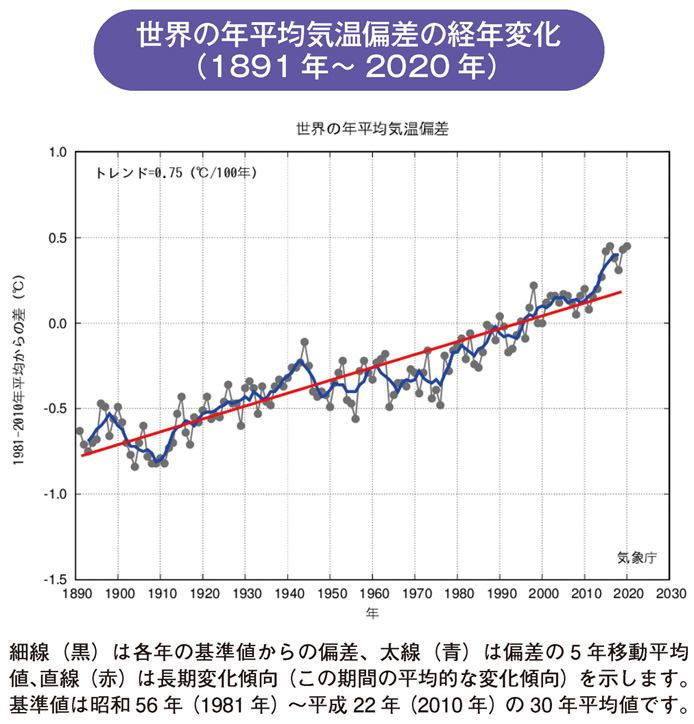 世界の年平均気温偏差の経年変化（1891年～2020年）