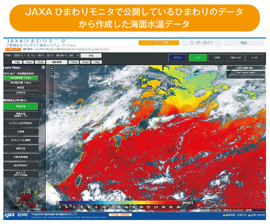 JAXA ひまわりモニタで公開しているひまわりのデータから作成した海面水温データ