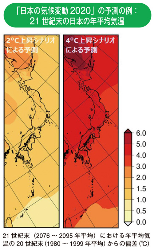 「日本の気候変動2020」の予測の例：21 世紀末の日本の年平均気温