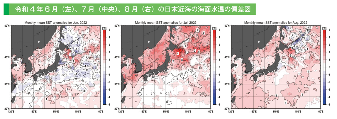 令和4年6月（左）、7月（中央）、8月（右）の日本近海の海面水温の偏差図