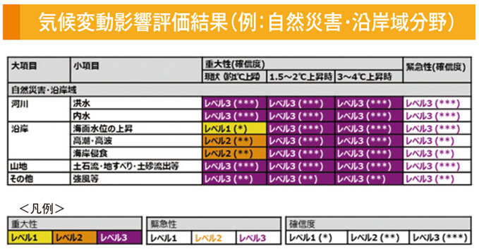 気候変動影響評価結果（例：自然災害・沿岸域分野）
