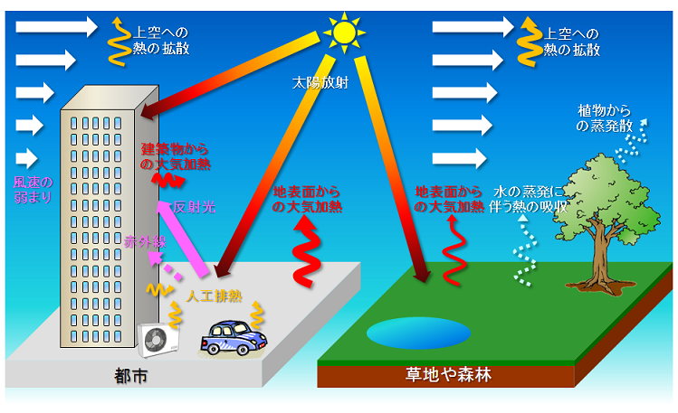 ヒートアイランド現象の概念図