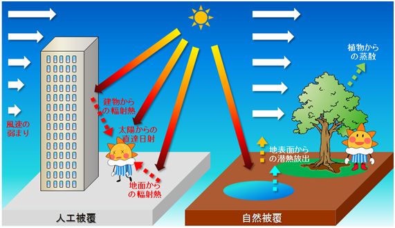 ヒートアイランド現象の仕組みの概念図