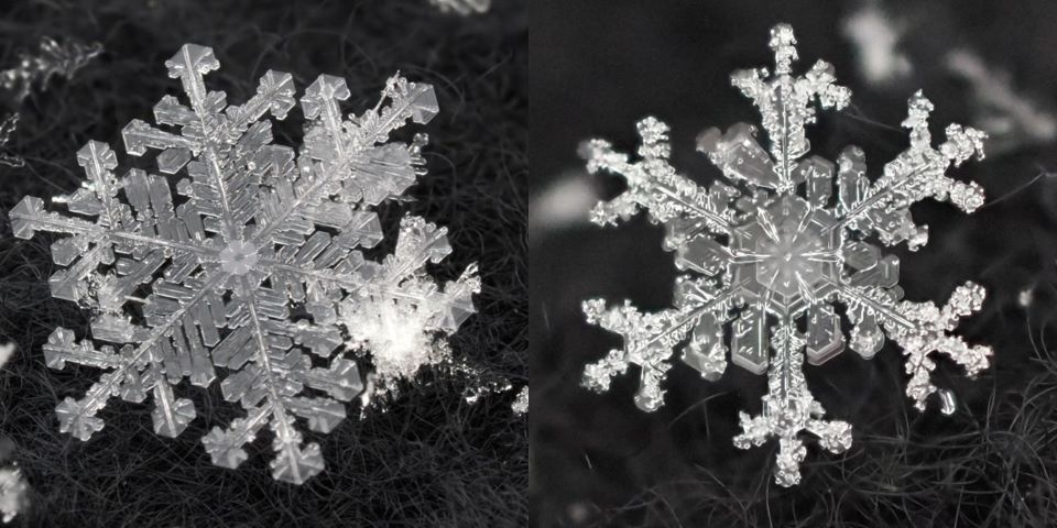 雪の結晶