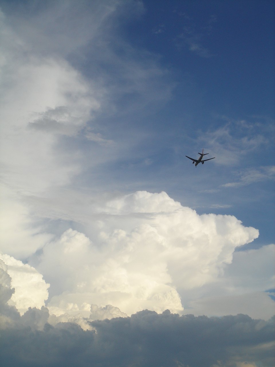 成長しつつある積乱雲