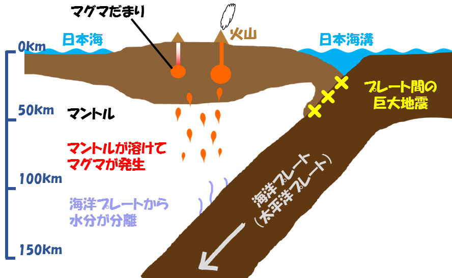 プレートの運動と地震,火山の関係模式図