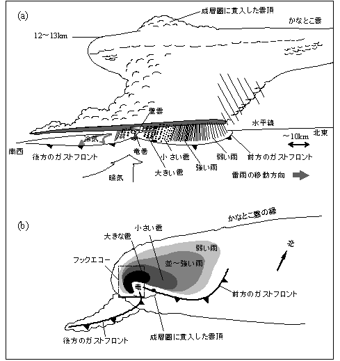 スーパーセル雷雨の模式図