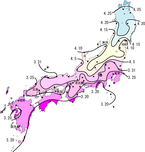 桜 開花 予想