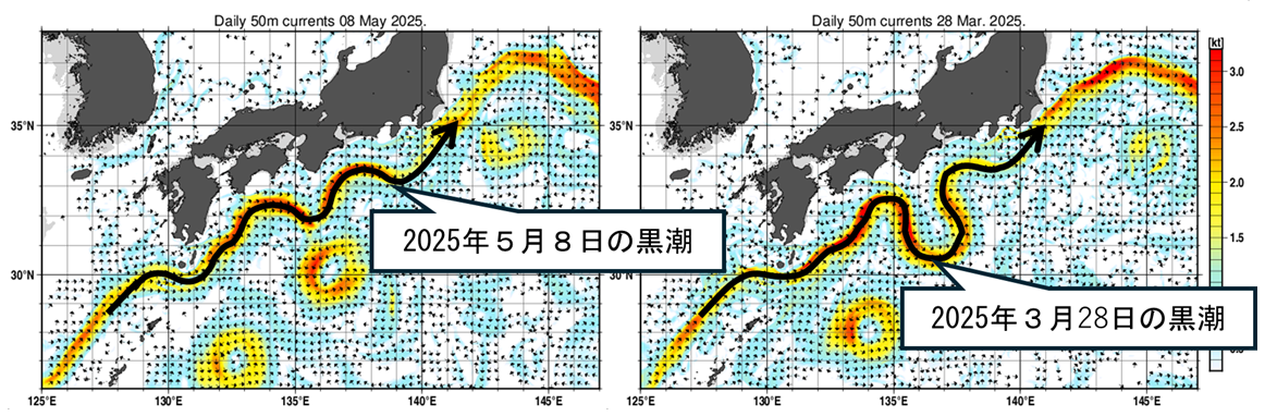 黒潮の流路図
